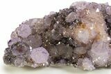 Sparkling Cactus Amethyst Crystal Cluster - South Africa #337110-3